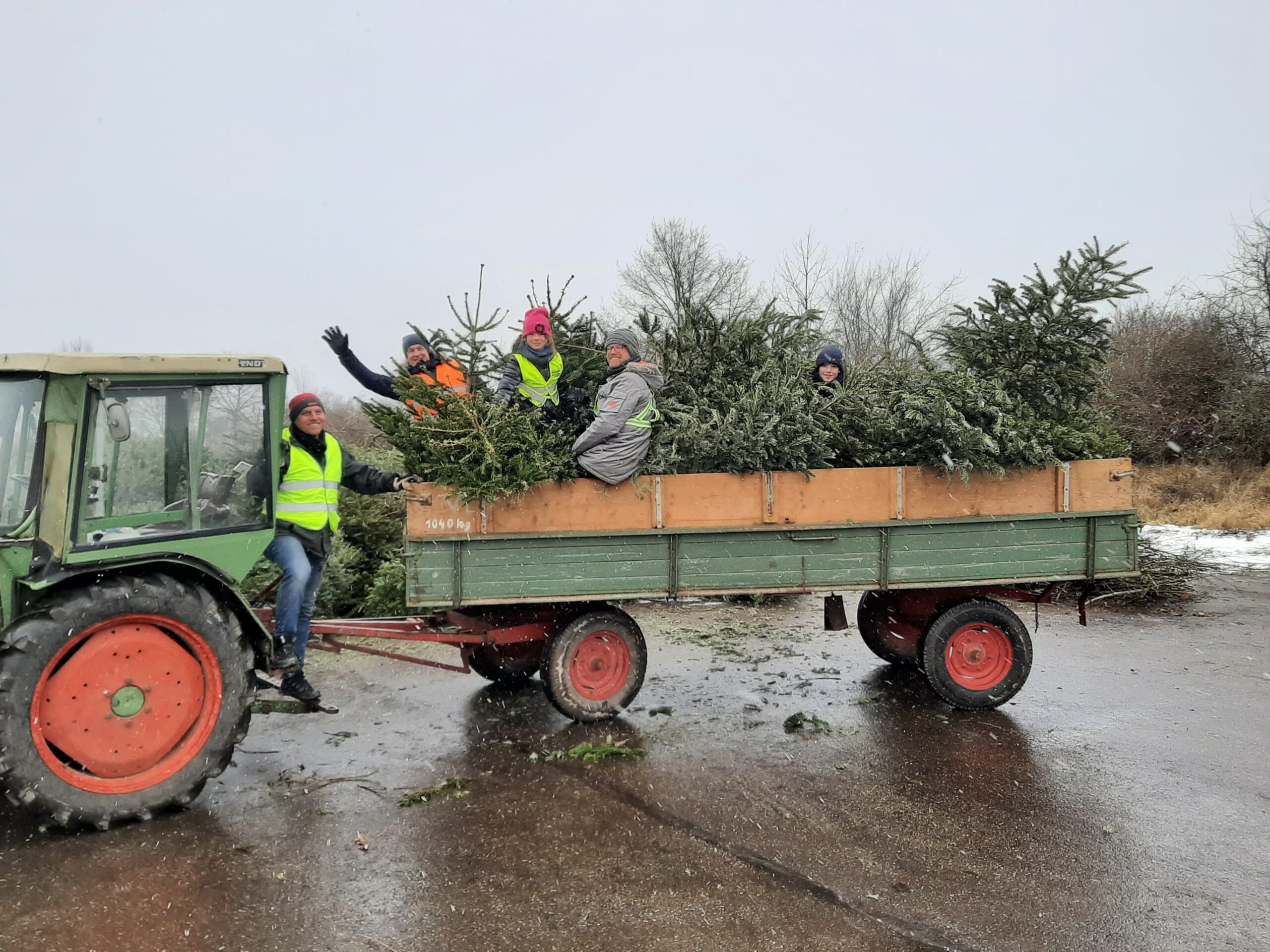Mehr über den Artikel erfahren Rekord: Tischtennisfreunde holen über 560 Christbäume ab